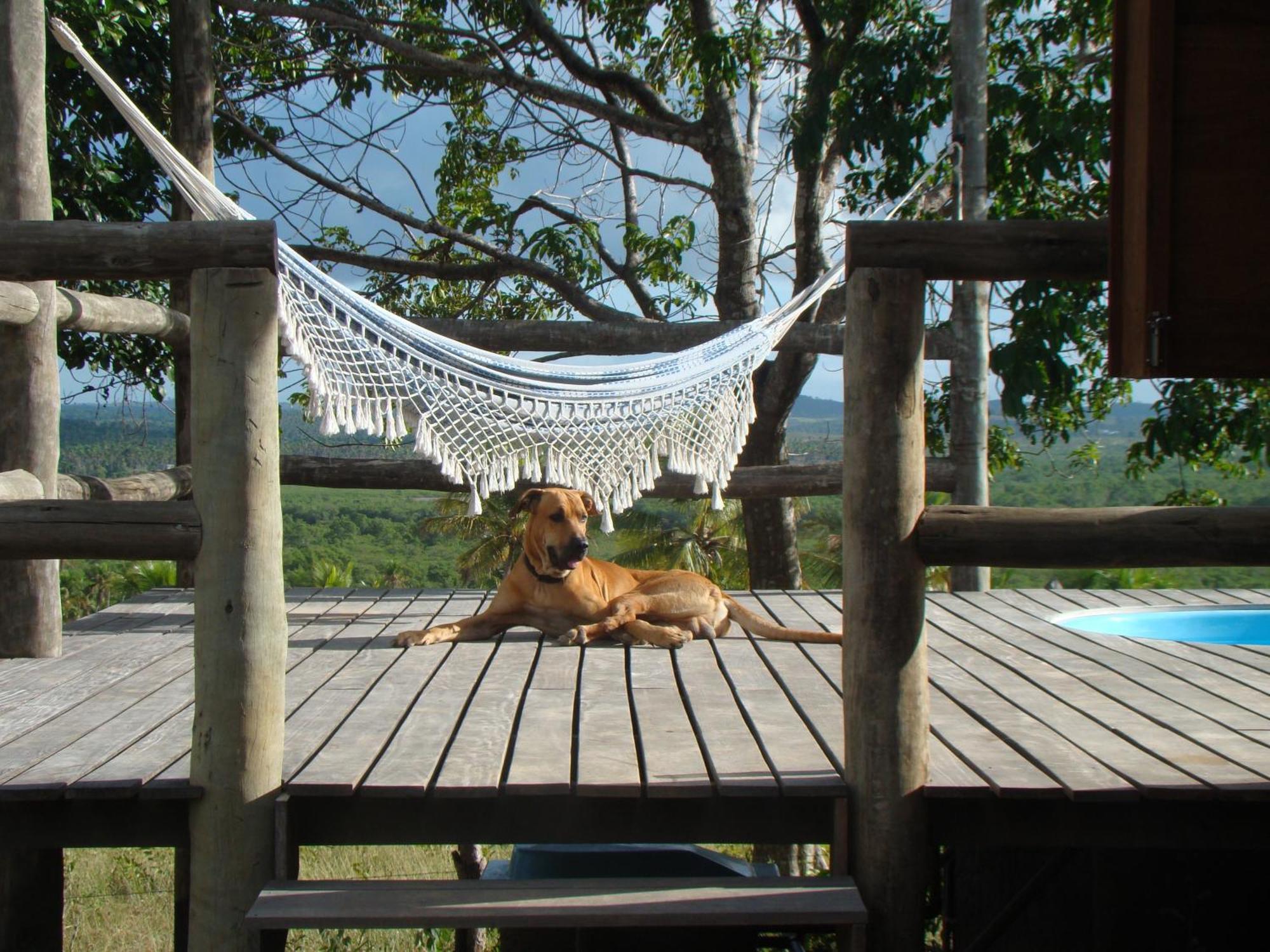 ホテル Pura Vida Bahia Abadia 部屋 写真